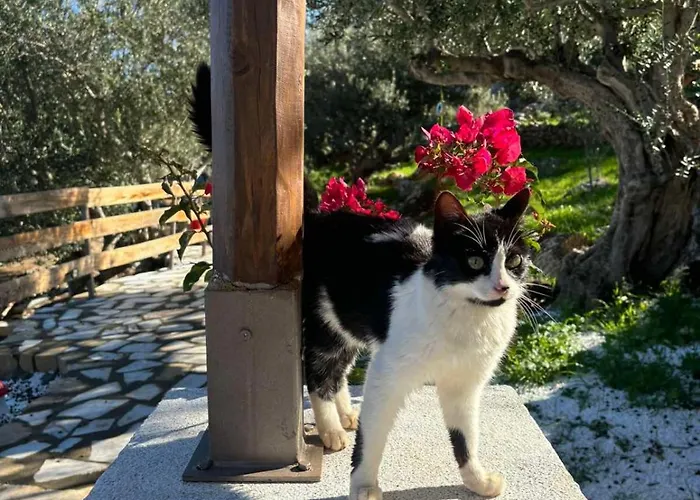 Luxury Of Lagkadaki Argilia